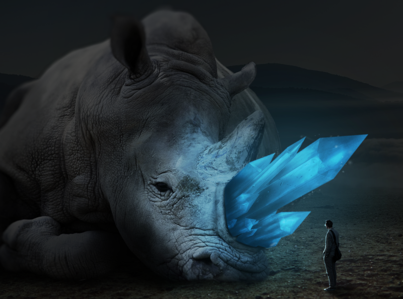 Crystal rhino - Photo Manipulation by Łukasz Jaskółka on Dribbble