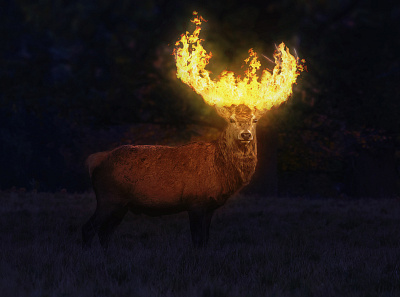 Burning deer - Photo Manipulation 3d 3dart animals branding burning animal deer digital art digital arts flames flaming forest manipulate manipulation photo photo manipulation photography photoshop photoshop action photoshop art photoshop manipulation