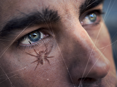 Face spider - Photo Manipulation