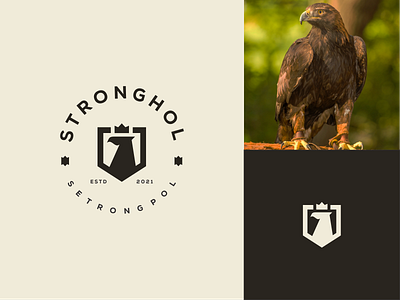 eagle logo emblem app app icon branding eagle flat icon illustration logo monogram simple simple logo