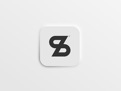 S Icon Logo app icon branding design flat icon initial logo logodesign logoinspiration logomark logos monogram s logo concept simple logo