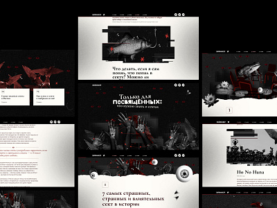 Sects design illustration ui ux web