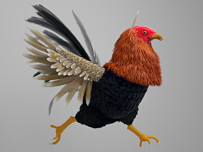 Gallo