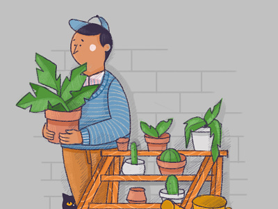 PLANTAS