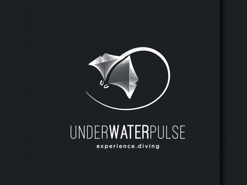Logo for underwater films lineart manta ray sophisticated logo underwater