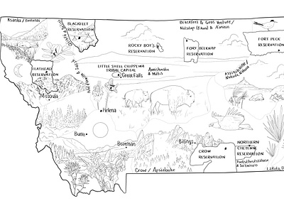 Montana Coloring Map