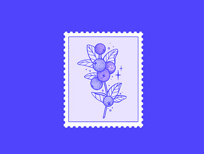 stamp 2 | Blueberries brand identity design graphic design illustration illustrator lineart