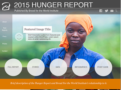 Hunger Report: Home ui design web design