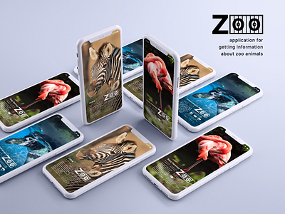 ZOO app app illustration mobile mobile app design product design