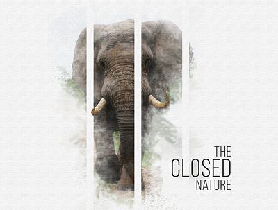 elephant illustration 2021 03 animals elephant illustration photoshop poster print zoo