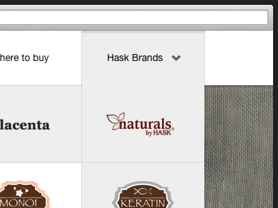 Hask Brands clean design hask interface simple ui ux web web app