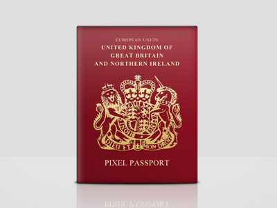 Pixel Passport icon icon design passport personal personal project
