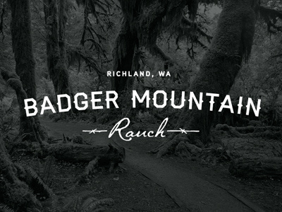 Badger Mountain identity logo