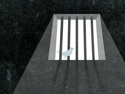 Bars bird illustration prison redemption