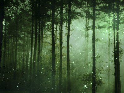 fairy tale forest comp design layering photoshop