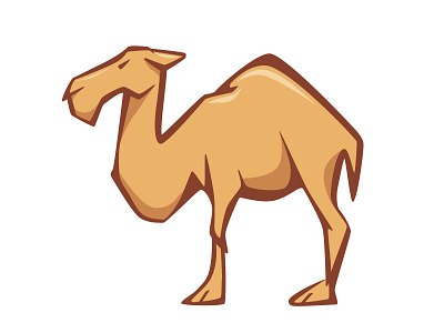 Camel illustration camel design drawing illustration vector