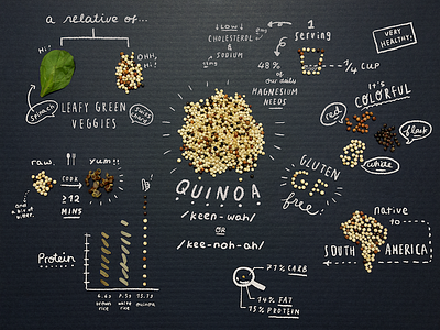 Fun Facts About Quinoa! illustration infographic quinoa