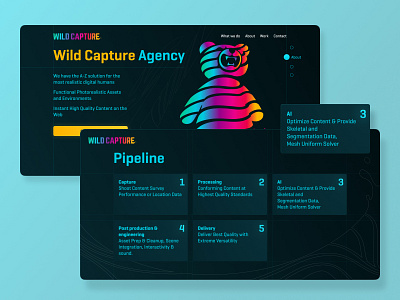 Wild Capture Agency website