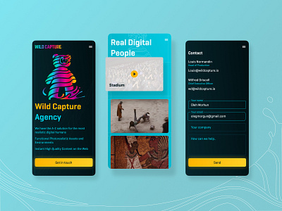 Wild Capture Agency website agency website bear logo blue colorful logo contact dark design first shot flat glass glassmorphism invite mobile mobile ui movies ui ux web website wild capture