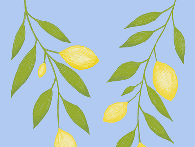 lemon branches art citrus design digital digital art fruit graphic design procreate sketching