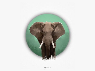 Elephant Illustration