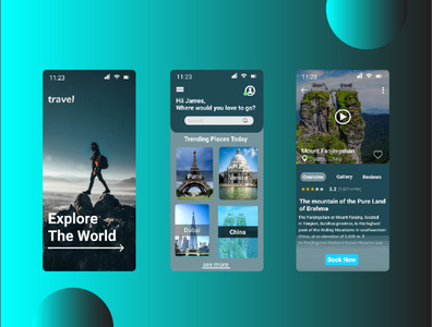 TRAVEL APP UI DESIGN by Akingbola Pemiisin on Dribbble