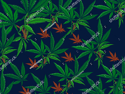 stock vector trendy green cannabis pattern in vector 1833078337 cannabis cannabis floral cannabis leaf cannabis pattern floral green leaf marijuana vector