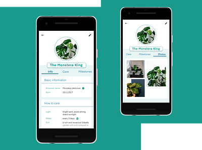 Plant user profile [DailyUI 006] app dailyui dailyui006 dailyuichallenge design mobile mobile ui monstera plant plant app ui user profile