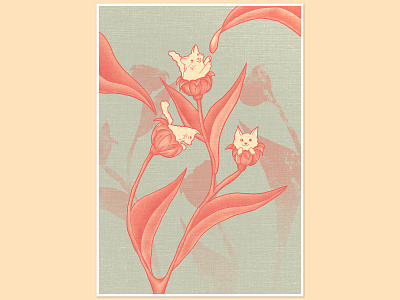 pussy willow. cats design flat flower illustration minimal photoshop pink print pussy willow vector
