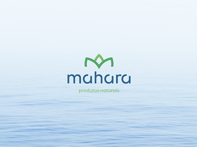 Identidade visual para marca de produtos naturais design illustration logo natural product