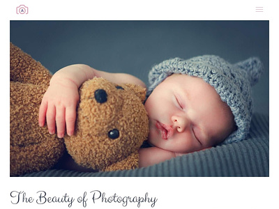 New Born Baby Photography Web UI UX Design