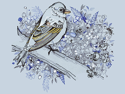 Bluebird bird bluebird doodle floral flowers illustration ink leaves pen