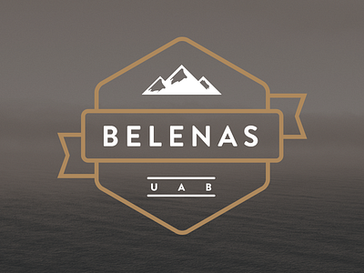 UAB Belenas Logo branding corporate id id logo logo design