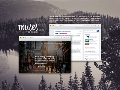 Muses design muses theme webdesign wordpress theme