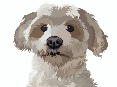 Vectorial Dog dog illustration pet vector