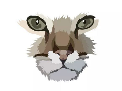 Vector Cat cats face illustration pet vector