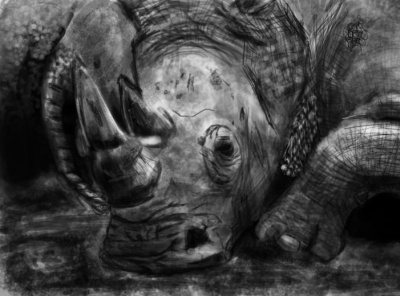 Rhino blackandwhite photoshop rhino