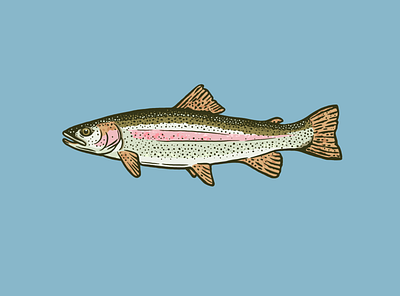 Rainbow animal apparel color drawing fish fishing fly fishing illustration pattern procreate rainbow rainbows screenprint trout