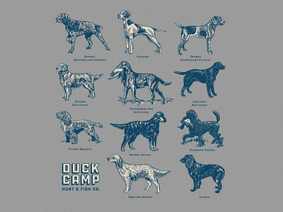 Duck Camp Bird Dogs camp dog dogs duck hunt illustration merch design pointer poodle retriever typography