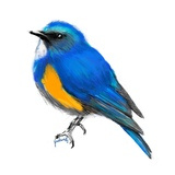 @pukushi | Yuka Fukushima