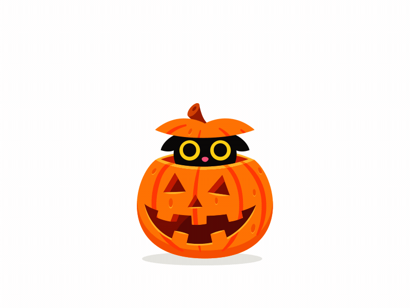 Pumpkin Cat ae animation berg cat character design graphic halloween manu motion pumpkin