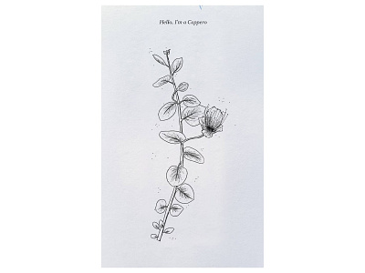 Hello, I'm a Plant art artwork design fresco illustration nature plants sketchbook