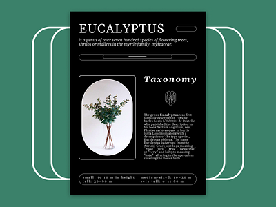 EUCALYPTUS - poster abstract amateur design graphic design illustration poster simple typography