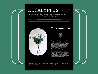 EUCALYPTUS - poster