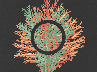 Seaweed artwork botanical collage collage art collageart design illustration plants print printing seaweed