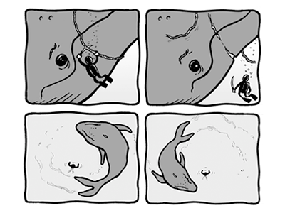 Whale Comic Freedom Sequence comic drawing illustration