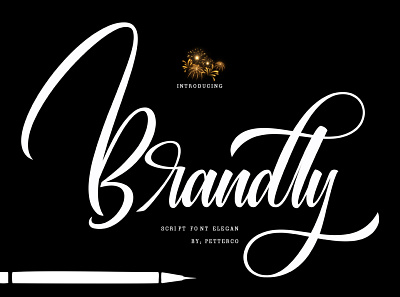 Brandly ( Petterco ) calligraphy font design font lattering logo
