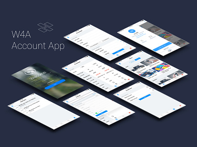 App for Accountant design ios ui ux