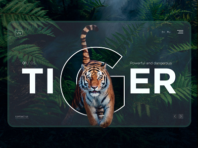 Tiger Web Design design figma photoshop tiger ui web web design website