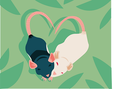 Flocki et Pixel animal design flat illustration illustration illustrator mother of rats mouse rat rats lover